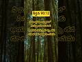 praise the lord🙏telugu bible#ytshorts#jesuschrist#hosannasongs#