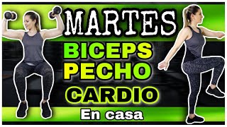 RUTINA DE MARTES | ADELGAZAR BRAZOS Y DEFINE PECHO | CARDIO INTENSO DE 30 MINUTOS | NatyGlossGym