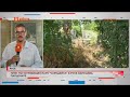 ПРЯК ПЪТ В ГРОБИЩЕН ПАРК ЧАРОДЕЙКА В РУСЕ НАРУШАВА ПАРЦЕЛИТЕ 12 07 2023 