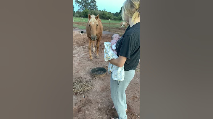 Gentle Horse Meets New Baby for the First Time || ViralHog