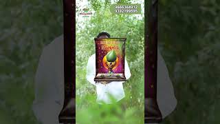 Best Cotton Seeds #shorts #agriculture #farming