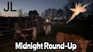 Late-Night Cattle Round-Up at Ranch Property