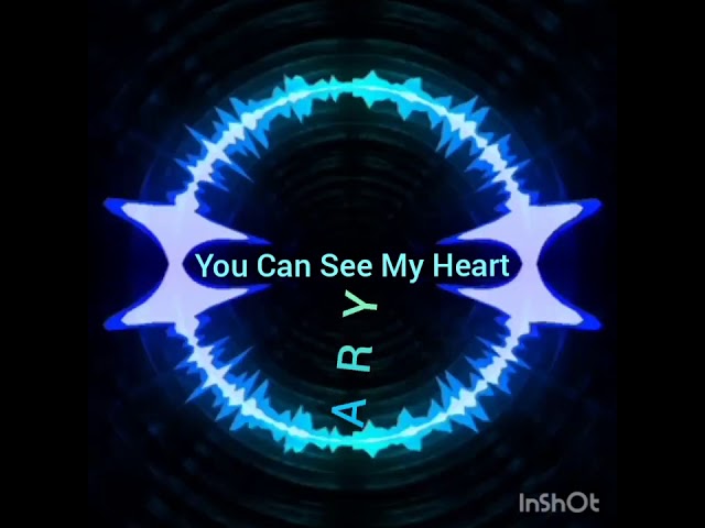 You Can See My Heart - Stadium Mix class=