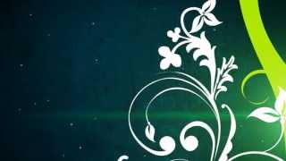 Vector flower screensaver