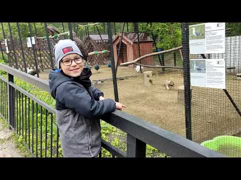 Видео: Морозная весна в Пензе. Пензенский зоопарк. часть 2