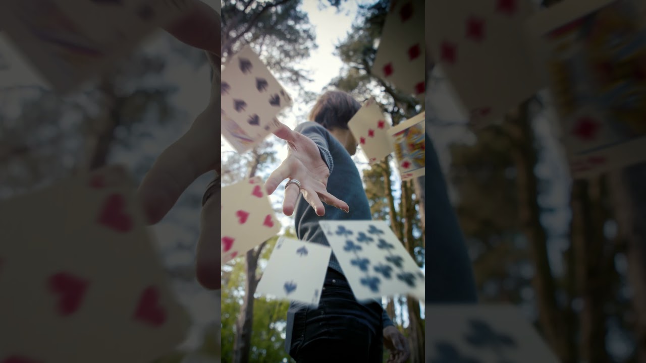 Cardistry & Photography ❤️ 