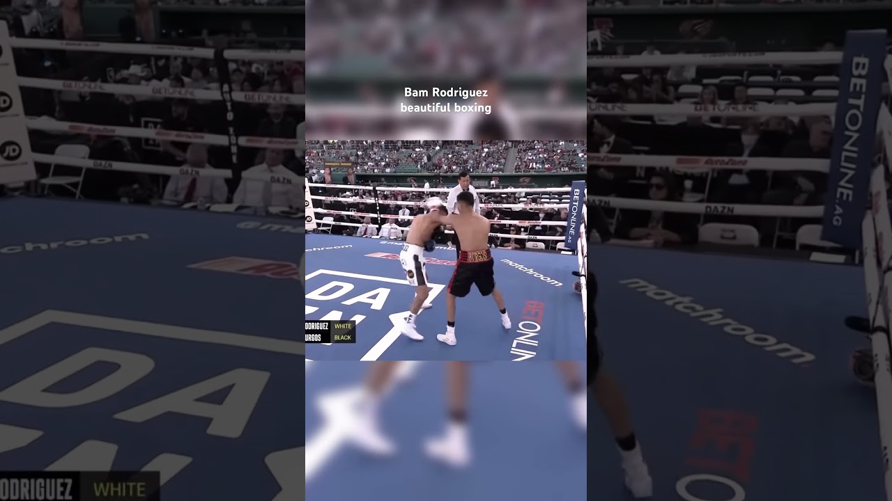 Bam Rodriguez 🥊