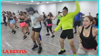 Bam Bam / Mr Killa / coreografía / La Bestia