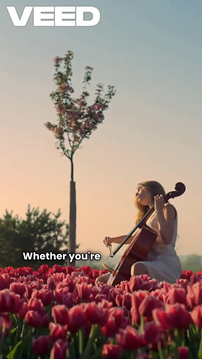 Melodies for the Soul Romantic instrumental music by Tomas I Benavente