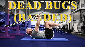 Dead Bugs (Banded) - Tutorial