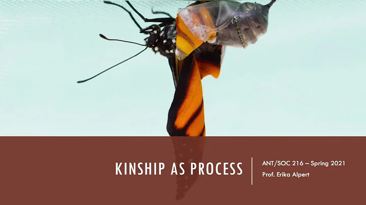 Kinship as Process