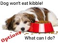 Why won't my dog eat kibble? What can you add to kibble for picky dogs?