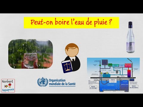 Vidéo: Est-il Possible De Boire De L'eau De Pluie Et Comment Elle Menace