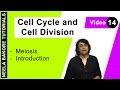 Cell Cycle & Cell Division - Meiosis - Introduction