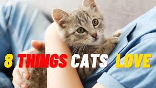 8 Things Cats Love the Most 2021 by Cat Lovers 431 views 3 years ago 5 minutes, 47 seconds