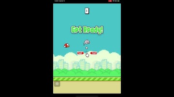 Impossible Flappy Birds Game