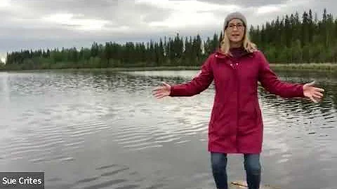 Spring Forest Qigong Everyday LIVE Qigong Practice...