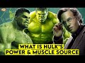 Where Does HULK Get His POWER & MUSCLES From? || ComicVerse