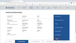Portal overview for business licenses