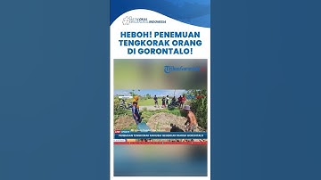 GORONTALO UPDATE ~ Geger! Warga Temukan Tengkorak Manusia di Gorontalo saat Gali Sumur