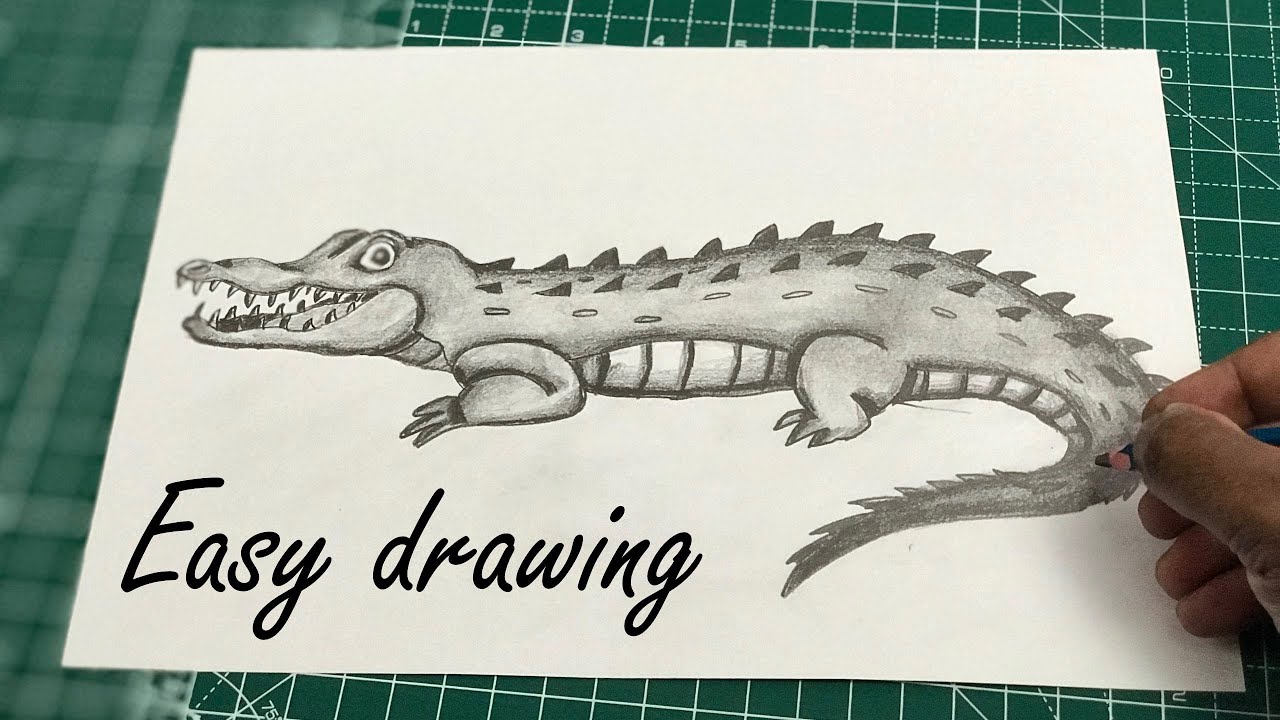 Stock Art Drawing of a Marsh Crocodile