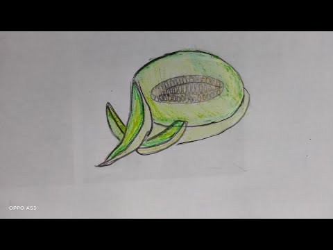 //honeydew//melon//new fruit new drawing //h for honeydew melon//