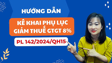 Hướng Dẫn Kê Khai PL 142/2024/QH15 Phụ Lục Giảm Thuế Giá Trị Gia Tăng (GTGT) 8% Mới Nhất