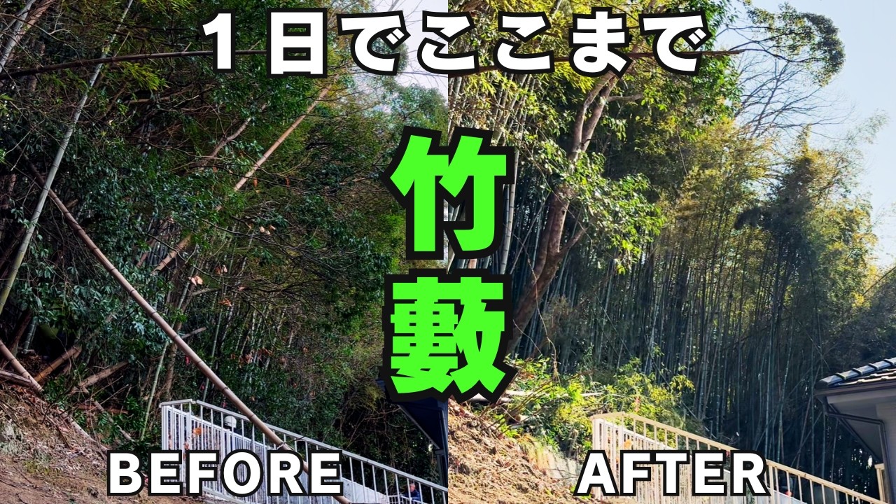 【竹藪伐採】住宅に迫る竹を1日整備。最低限でここまで仕上げる