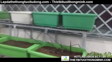 Hướng dẫn thi công thiết kế lắp đặt hệ thống tưới phun sương hoa phong lan khay trồng rau sân thượng