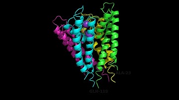 PyMOL Publication Quality Images