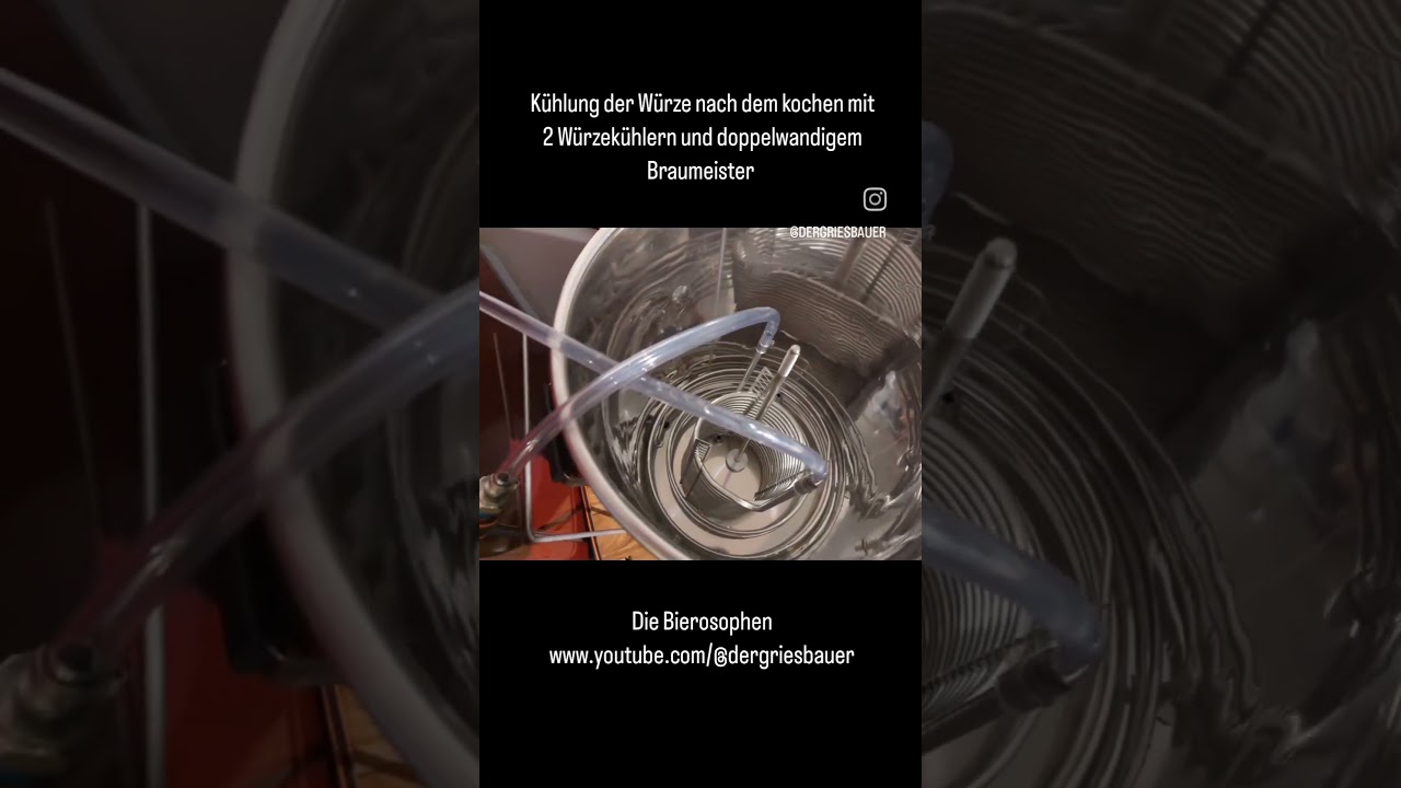 Würzekühlung im Speidel Braumeister - 