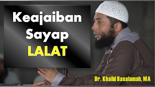 Keajaiban Sayap Lalat Ustadz Khalid Basalamah