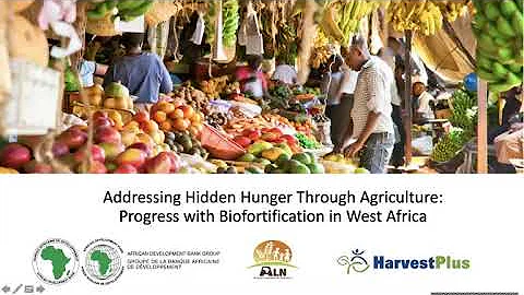 African Leaders for Nutrition