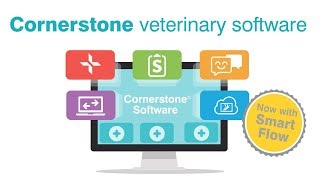 Cornerstone® Veterinary Software screenshot 2