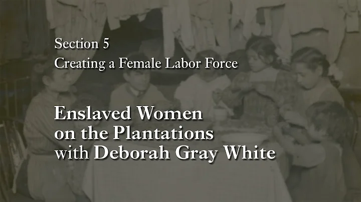 MOOC WHAW1.1x | 5.5.1 Enslaved Women on the Planta...