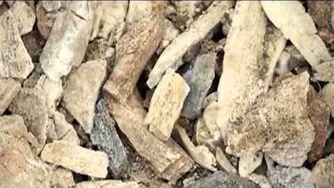 Interchange 4 Level 3 Unit 13 Video