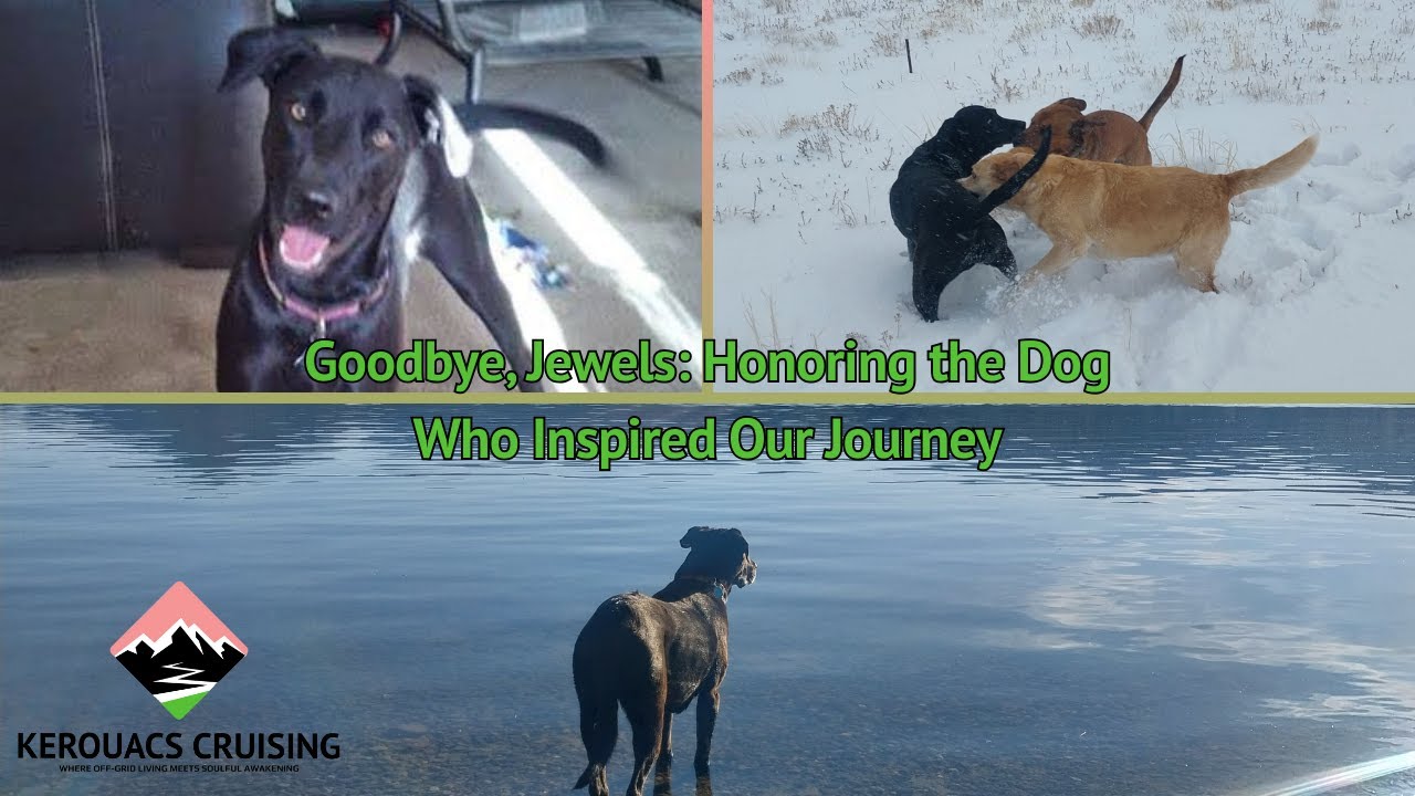 Goodbye, Jewels: Honoring the Dog Who Inspired Our Journey