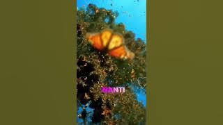 Bila nanti #Trisuaka #inilah aq