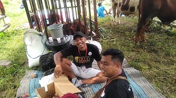 review blok e kelas pedet kontes sapi APPSI kab Jember tahun 2022