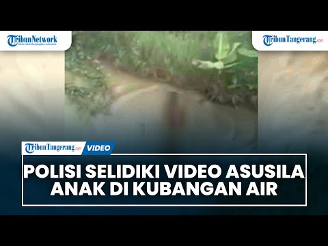 Polisi Selidiki Video Asusila Anak di Kubangan Air di Kalideres.