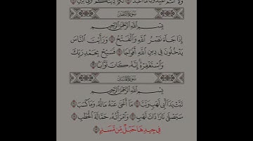 سورة المسد