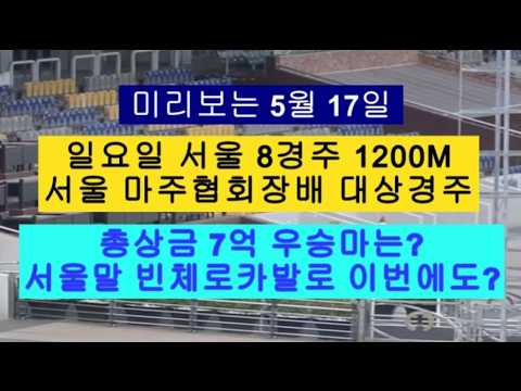 총상금 7억 마주협회장배 대상경주 우승마 찾아봐요?