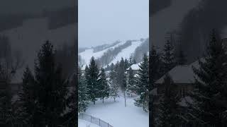 Blue Mountain Skiing Trip #skiing #bluemountain