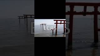 Kaizen Is Effective Way For Improvement