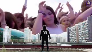 Pesta Musik Dj Alan Walker Full Nonstop