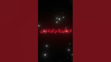 ناصر القطامي سورة النبأ #قرآن #اكسبلور #المصحف #ناصر_القطامي
