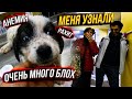 Повезли Шанса в клинику, сказали все плохо😱 Меня УЗНАЛИ там подписчики.