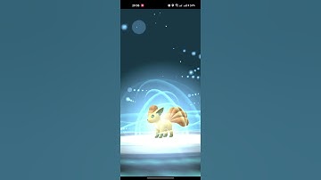 ✨ Shiny Vulpix Evolution ✨ #pokemon #pokemongo