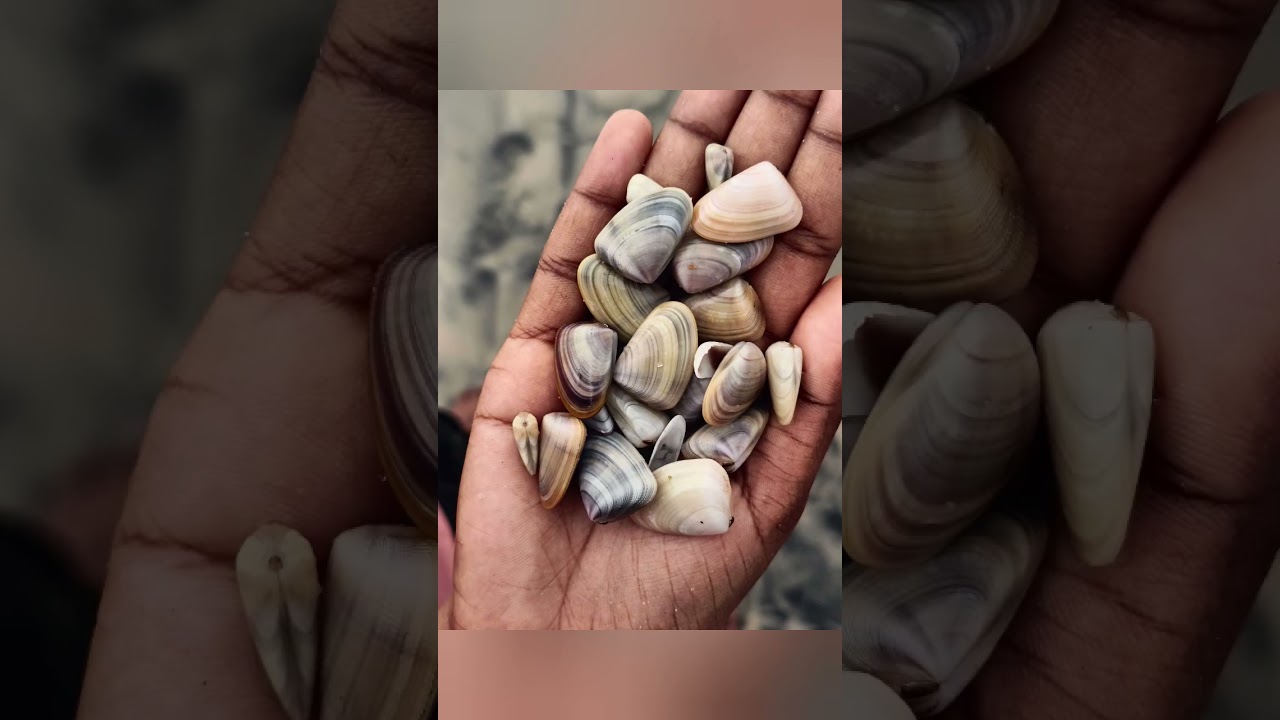 her first day at Beach🌊🌊