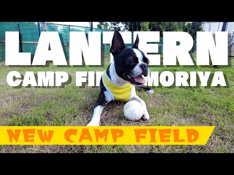 【ボストンテリア】茨城県に新しく誕生したLANTERN CAMPING FIELD MORIYA